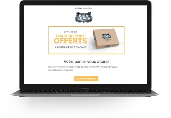 blog-base-sud-marketing-relationnel-rica-lewis-panier-abbandonne-2