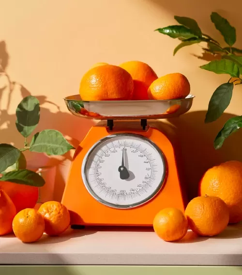 BASE-SUD-BLOG-im4-SEA